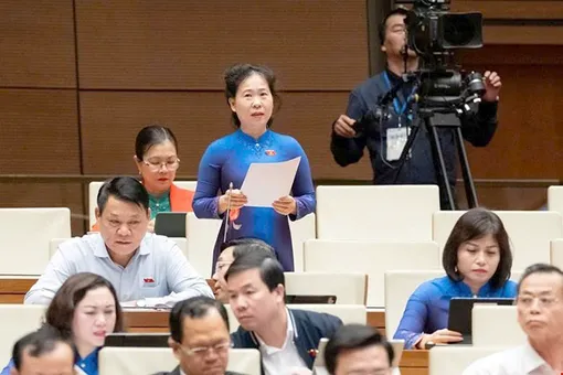 Đại biểu Quốc hội Tô Ái Vang góp ý dự thảo Luật sửa đổi, bổ sung một số điều Luật Thuế giá trị gia tăng 