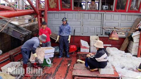 Hạ tầng nghề cá Ninh Bình: "Điểm tựa" vươn khơi và bài toán quy hoạch bền vững