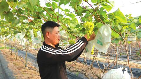 Đồng bộ các giải pháp nâng cao giá trị sản xuất nông nghiệp