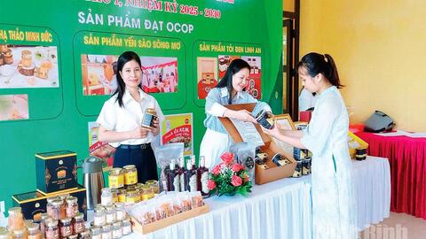 Phát triển kinh tế tư nhân là động lực quan trọng của nền kinh tế