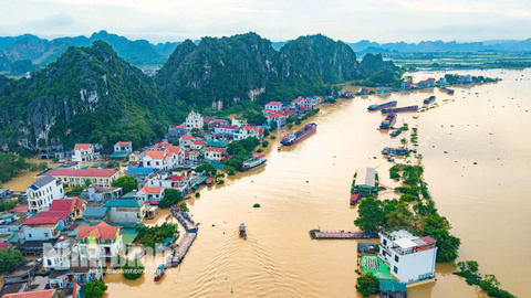 Tập trung toàn lực khoanh vùng tiêu úng và bảo vệ an toàn đê điều