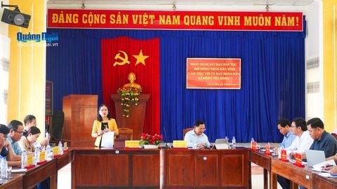 Giám sát triển khai Dự án 9 tại xã Đông Trà Bồng