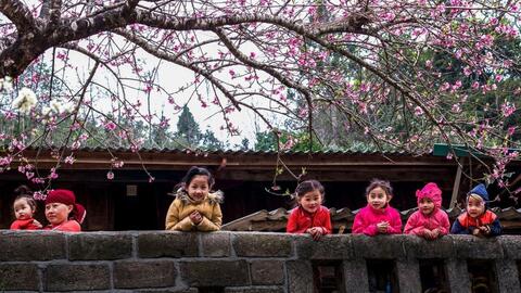 Chỉ thị số 55-CT/TW của Ban Bí thư về việc tổ chức Tết Bính Ngọ năm 2026