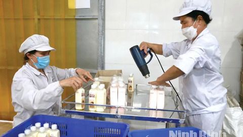 Đẩy mạnh kinh tế tuần hoàn trong chăn nuôi