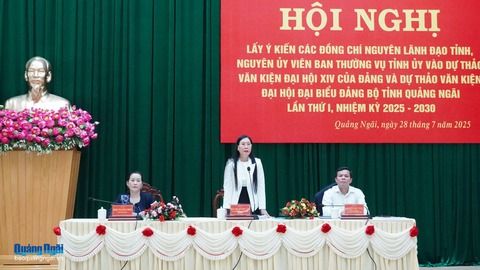 Khai thác tiềm năng, lợi thế để Quảng Ngãi phát triển bền vững