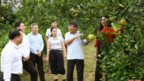 Đánh giá chính sách nông nghiệp, nông thôn từ thực tiễn cơ sở