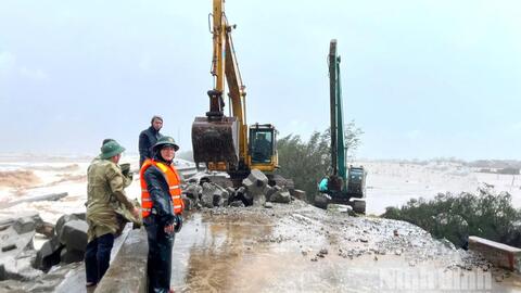 UBND tỉnh yêu cầu khẩn trương xử lý, khắc phục các sự cố sụt, sạt trên tuyến đê biển Hải Hậu