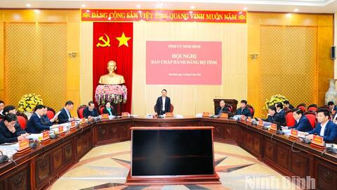 Ban Chấp hành Đảng bộ tỉnh cho ý kiến về một số nội dung thuộc thẩm quyền