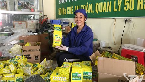 Phát triển chè đặc sản - Dư địa còn nhiều