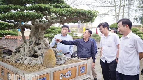 Phát huy vai trò cầu nối, hỗ trợ cho kinh tế tập thể phát triển