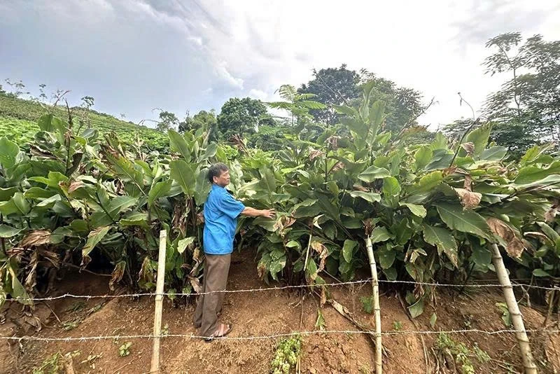 Ngọc Liên đưa nghị quyết vào cuộc sống