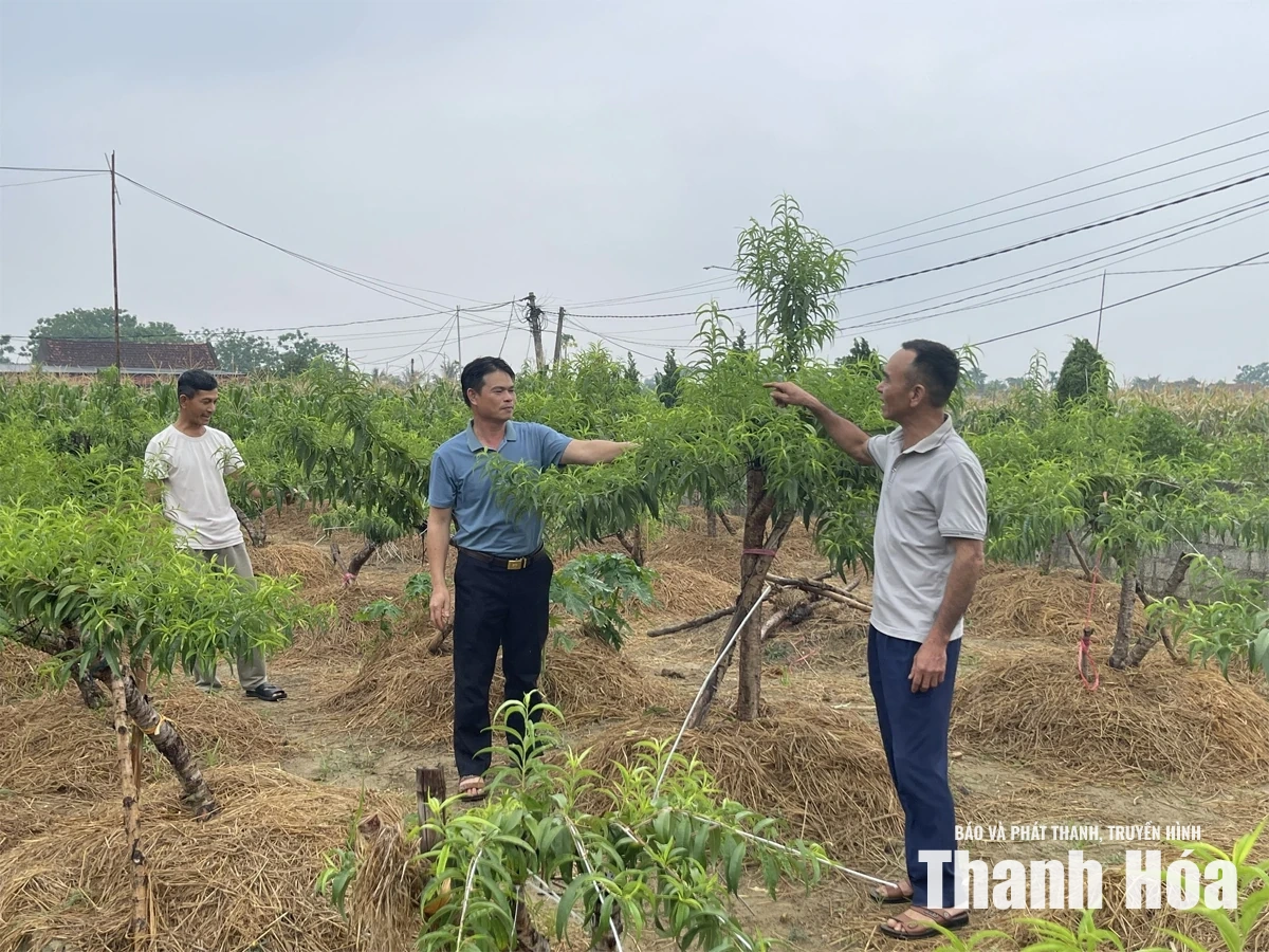 Tân Ninh “Dân vận khéo” theo lời Bác dạy