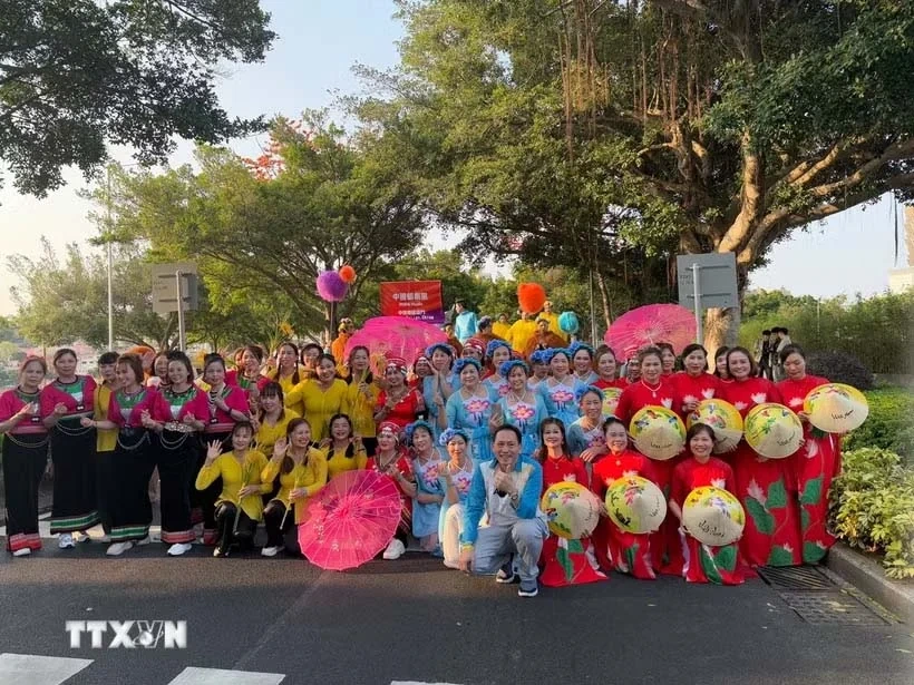 Triển khai Nghị quyết của Bộ Chính trị về công tác người Việt Nam ở nước ngoài