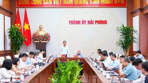 Văn phòng Thành ủy tập trung nâng cao chất lượng công tác tham mưu, thẩm định các nội dung  trình Thường trực Thành uỷ, Ban Thường vụ Thành uỷ, Thành uỷ