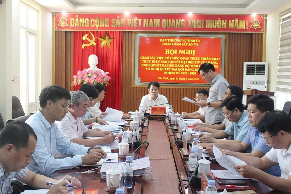 Giám sát việc triển khai nghị quyết đại hội Đảng các cấp tại xã Tân Ninh