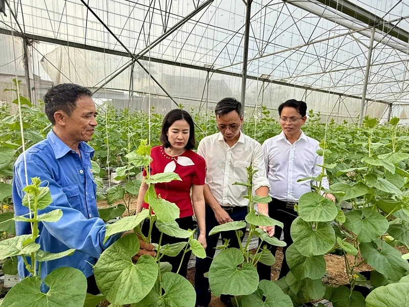 Đảng bộ xã Thiệu Tiến đổi mới, nâng cao chất lượng sinh hoạt chi bộ