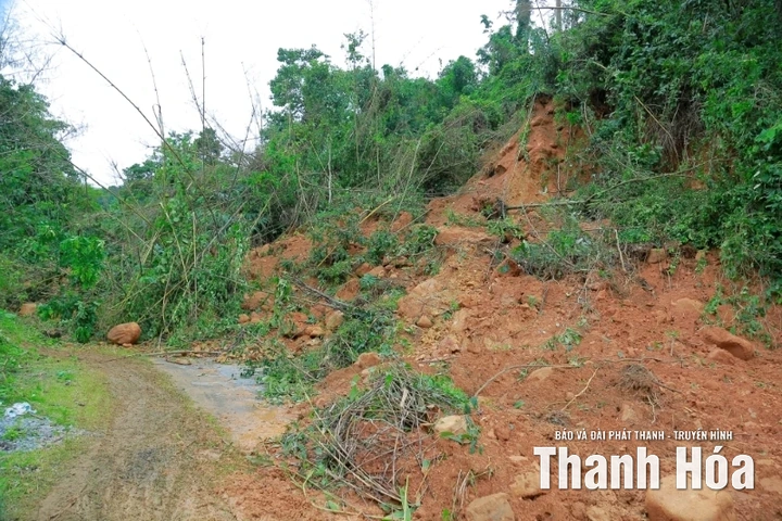 Công bố tình huống khẩn cấp sạt lở đất tại đồi Pú Kắng