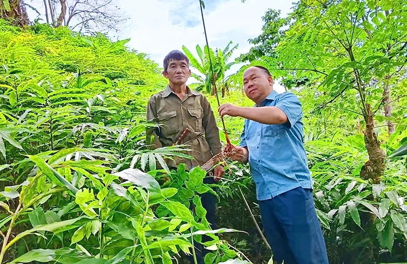 Nêu cao tinh thần trách nhiệm phục vụ người dân của đội ngũ cán bộ các xã vùng cao biên giới