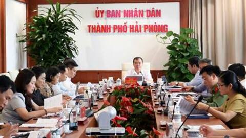 Tập trung hoàn thiện các Đề án phát triển du lịch, thể dục, thể thao thành phố Hải Phòng đến năm 2030, định hướng đến năm 2045