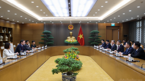 Thủ tướng tiếp Trưởng đại diện của IMF: Không nhiều nước có thể tiến hành những cải cách như Việt Nam
