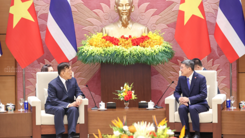 Thủ tướng Chính phủ Lê Minh Hưng hội kiến Nhà Vua Thái Lan
