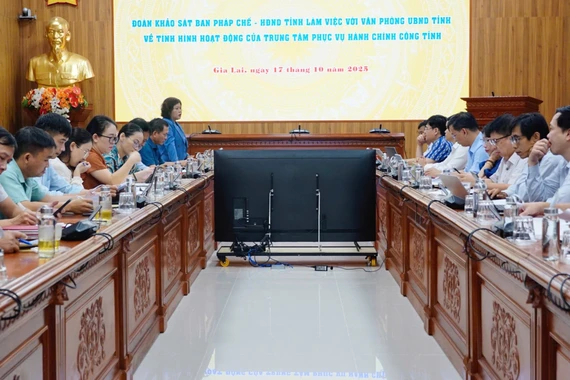 Ban Pháp chế HĐND tỉnh Gia Lai giám sát tại Trung tâm Phục vụ hành chính công tỉnh