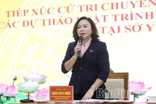 Đoàn ĐBQH tỉnh lấy ý kiến đóng góp vào dự thảo Luật Dân số và Luật Phòng bệnh