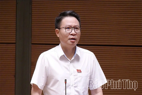 Đại biểu Quốc hội tỉnh thảo luận về định hướng chính sách sửa đổi Luật Kinh doanh bất động sản
