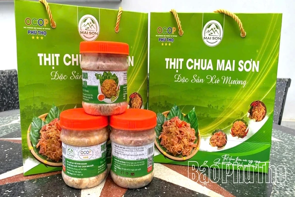 Thịt chua đu đủ - hương vị xứ Mường Tân Sơn