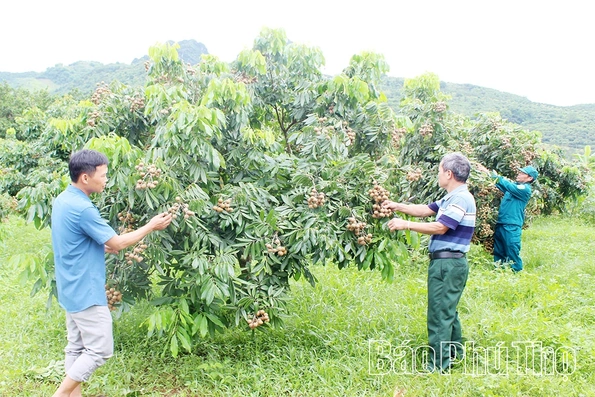 Nghị quyết từ Đại hội Đảng đi vào cuộc sống