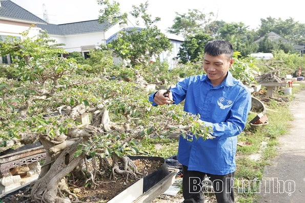 Thanh niên xã Tam Đảo học và làm theo gương Bác bằng những việc làm thiết thực