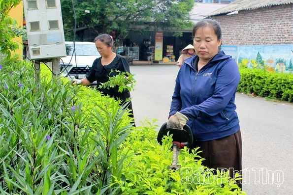 “Ngọn lửa” khơi dậy sức sống mới ở Tây Sơn