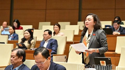 Mở rộng nguồn nhân lực, tăng sức cạnh tranh cho Tòa án chuyên biệt