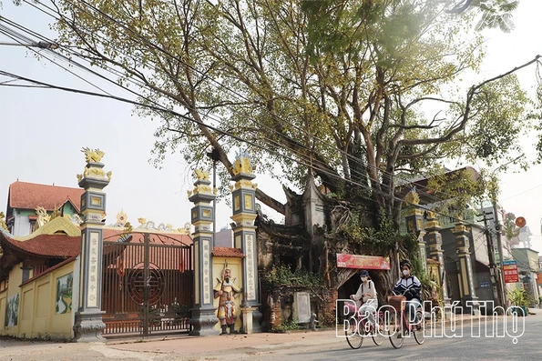 Độc đáo cổng đình Phú Hậu