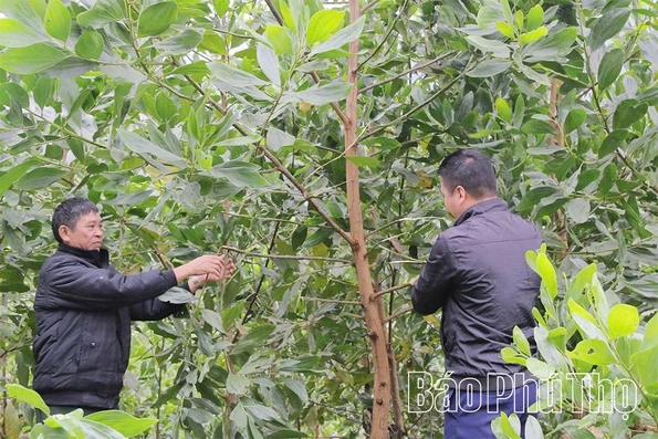 Đảng bộ xã Cao Sơn đưa nghị quyết vào cuộc sống