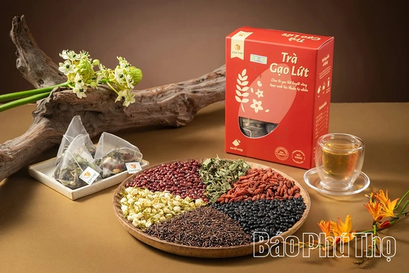 Trà Quê Việt - tinh hoa từ thiên nhiên