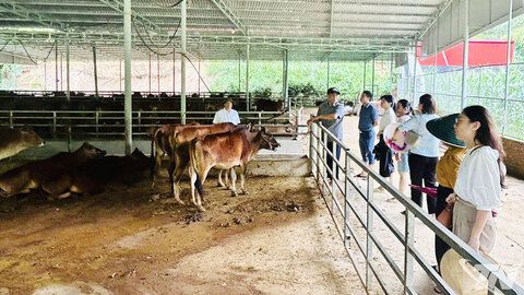 Nhiều hợp tác xã kiến nghị hỗ trợ vốn, chuyển đổi số