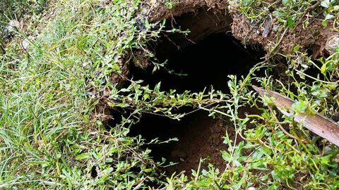 Na Rì: Xuất hiện hố 'tử thần', di dời khẩn cấp một hộ dân