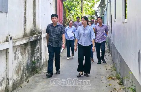 Khảo sát 17 tuyến hẻm xuống cấp tại phường Bạc Liêu