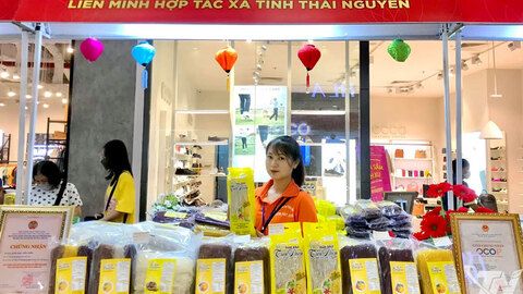 Đổi mới công nghệ, nâng tầm sản phẩm OCOP