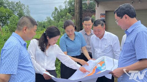 Tập trung tháo gỡ khó khăn, đẩy nhanh tiến độ thực hiện các dự án