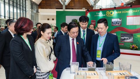 Masan chung sức 'Vươn đến Kỷ nguyên Xanh'