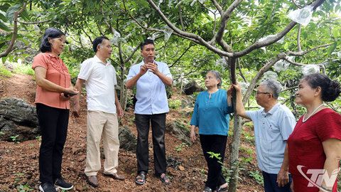 Chuyển đổi số 'mở lối' cho hợp tác xã