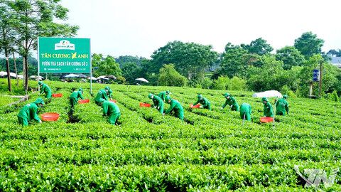 Công nghệ số mở lối tiêu thụ nông sản