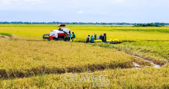 Hành trình của khát vọng đổi mới - Bài 4: Sức mạnh cộng hưởng sau hợp nhất 