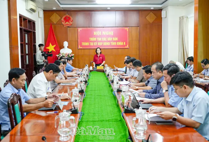 Thẩm tra các văn bản trình kỳ họp cuối năm của HĐND tỉnh Cà Mau