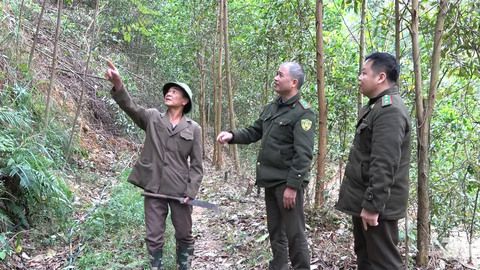 Bảo vệ rừng từ cơ sở