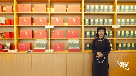 Thanh niên tiên phong khởi nghiệp, đổi mới sáng tạo