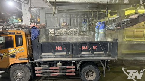 Ngành xi măng vào nhịp sản xuất