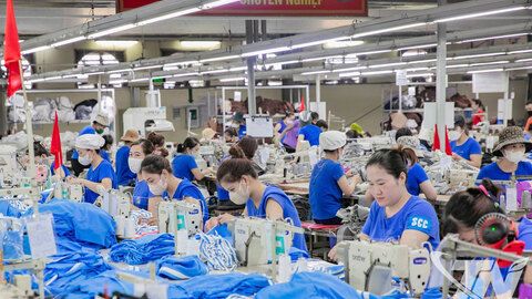 TNG lập kỷ lục doanh thu: Tín hiệu bứt phá ngay đầu năm